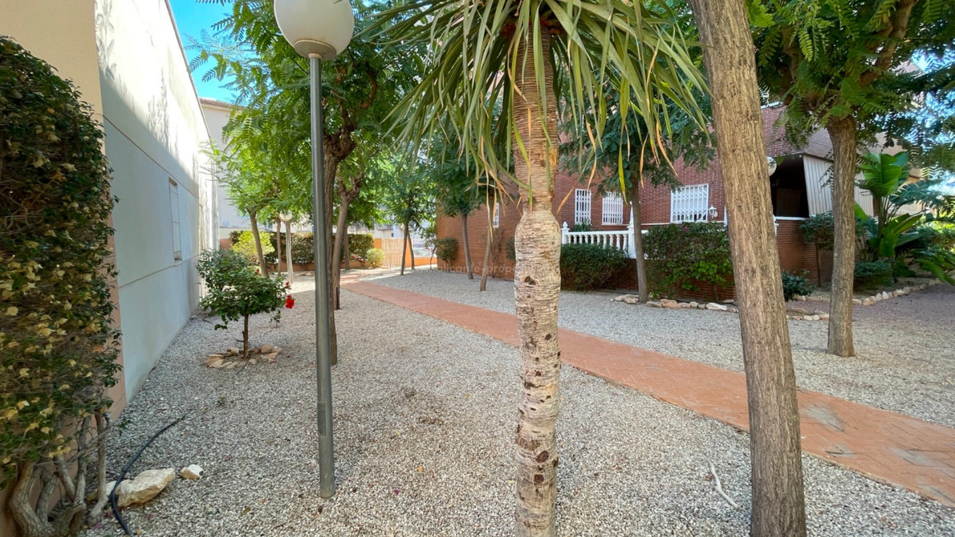 Bungalow in Elche Centro