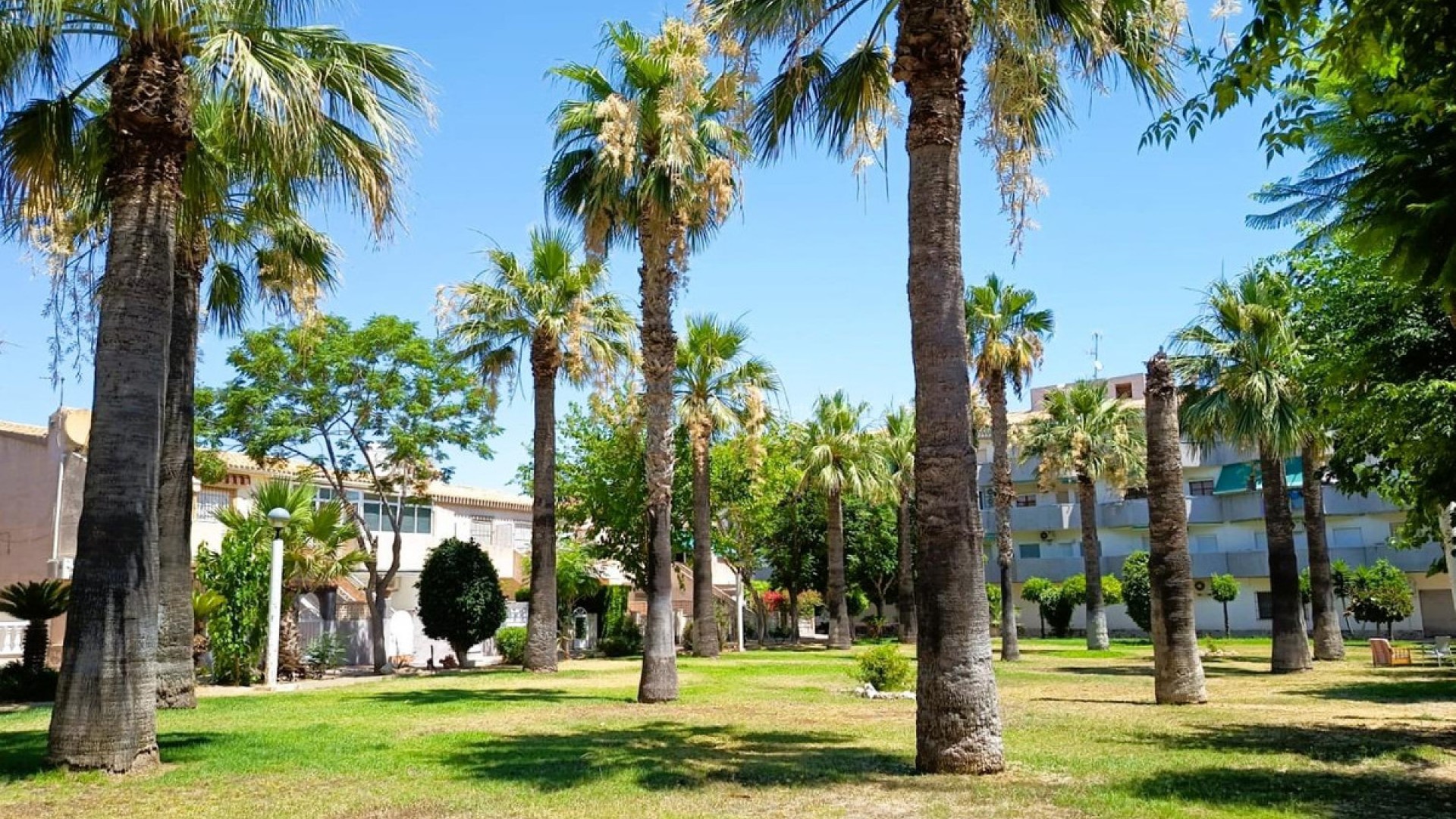 Bungalow in La Regia