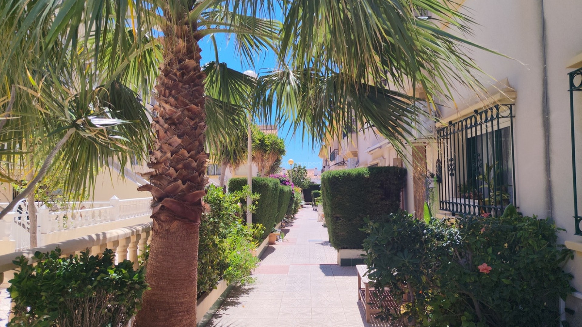 Bungalow in La Zenia