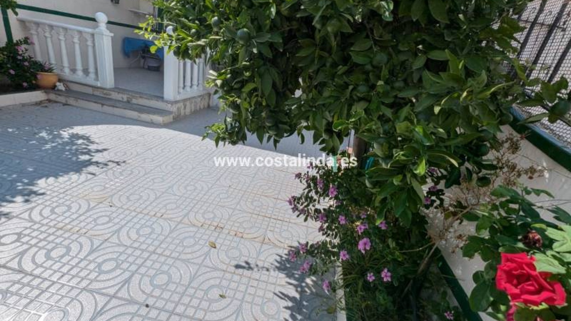 Bungalow in Los Alcazares