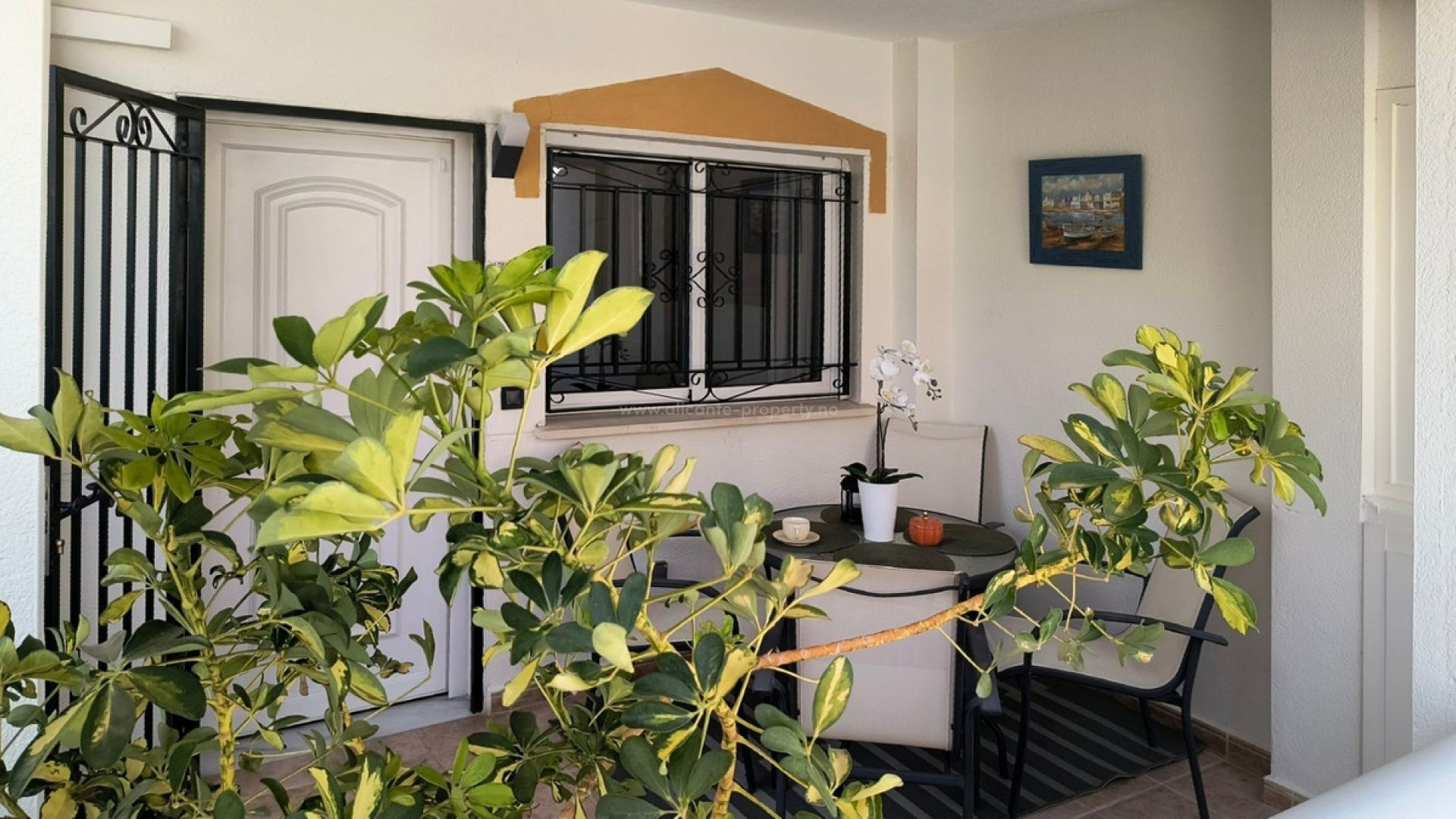 Bungalow in Punta Prima
