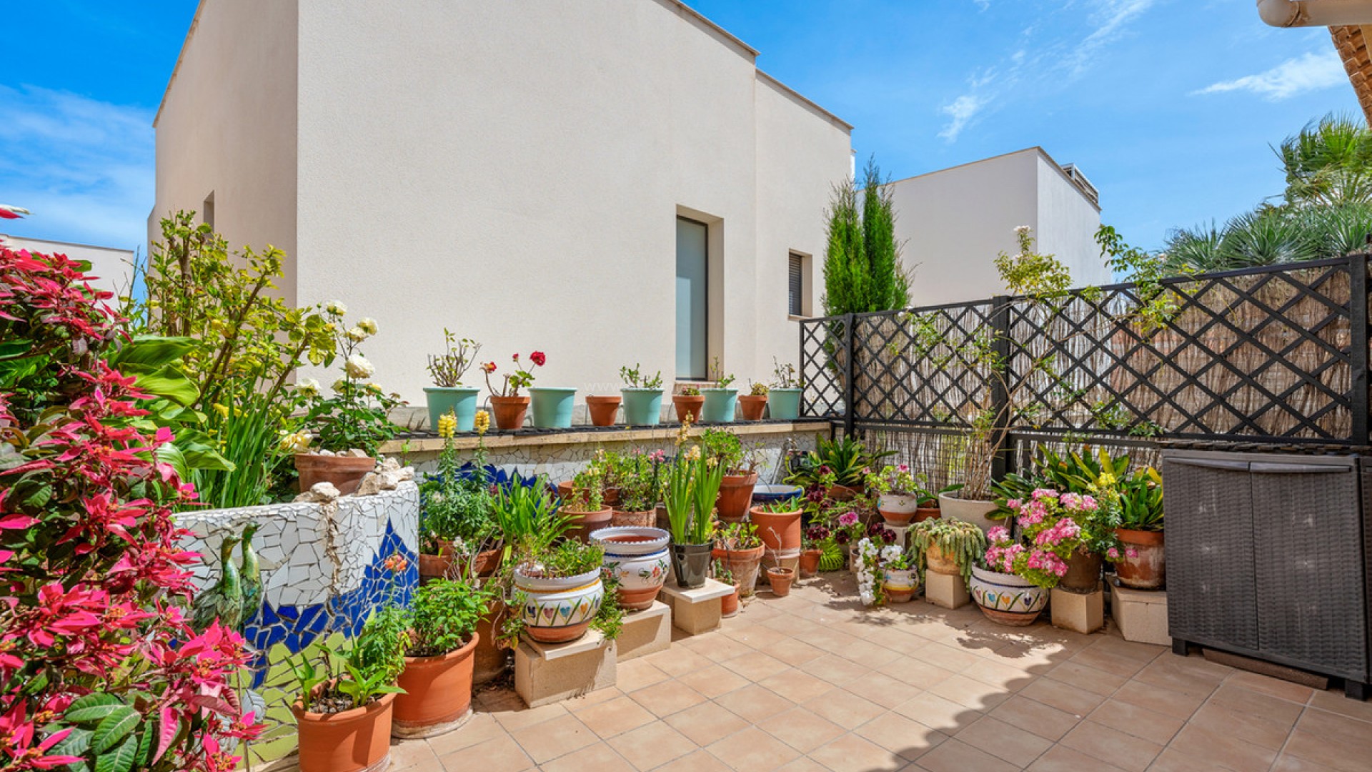 Bungalow in San Miguel de Salinas Centro