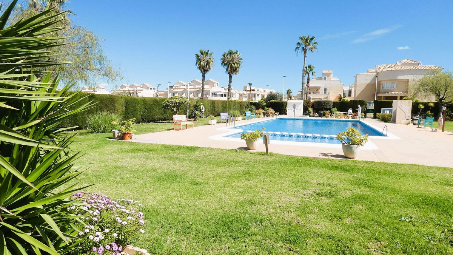 Bungalow in Torrevieja Centro