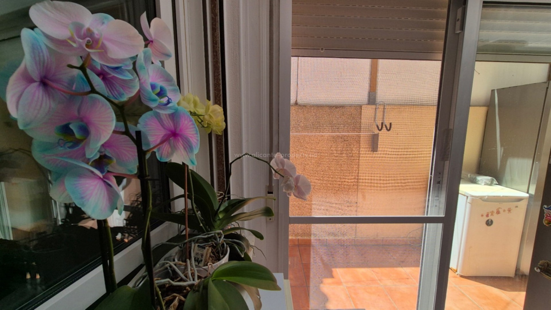 Bungalow in Torrevieja Centro