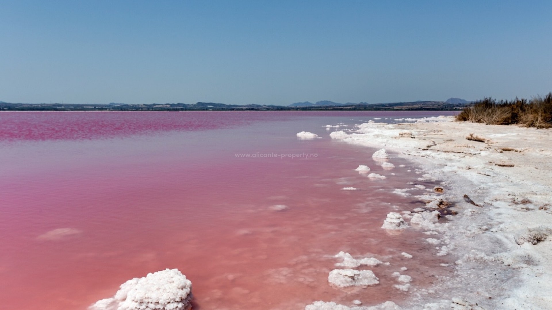 Bungalow in Torrevieja Centro
