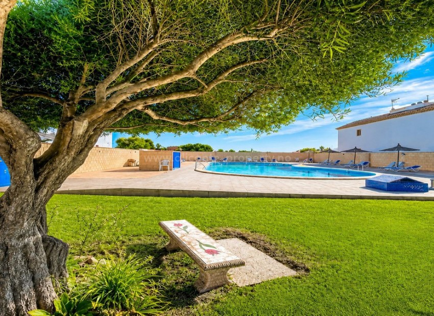 Bungalow in Torrevieja Centro