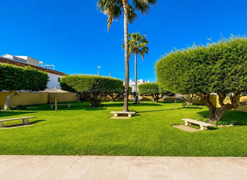 Bungalow in Torrevieja Centro