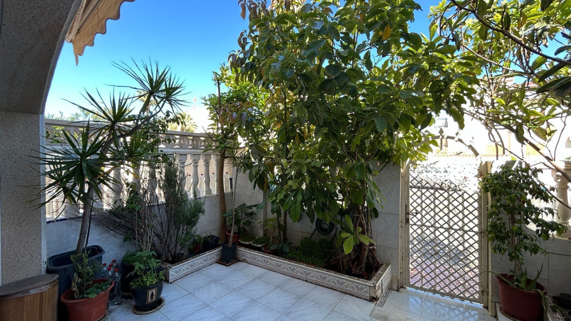 Bungalow in Torrevieja Centro