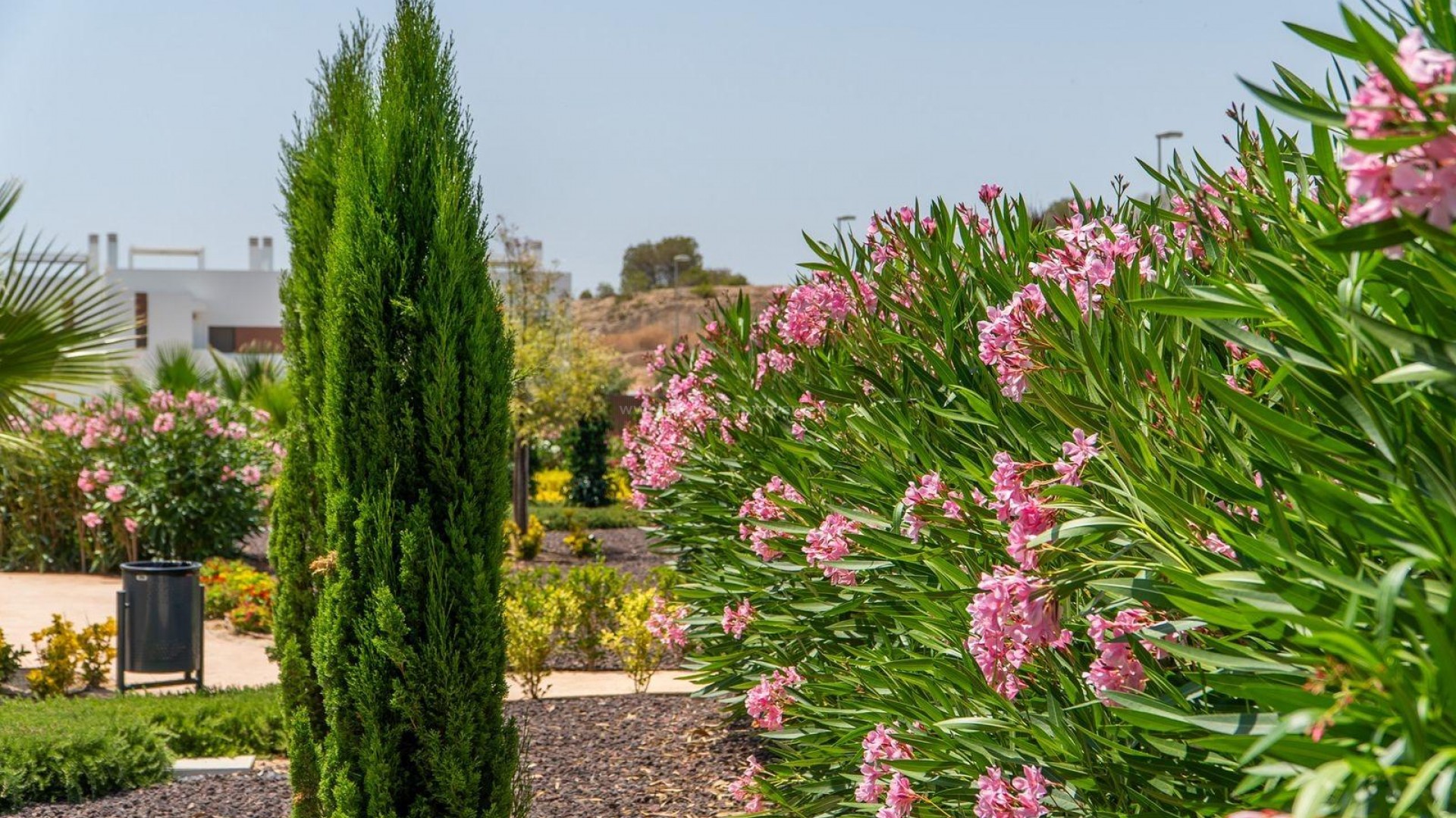 Bungalow in VistaBella