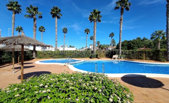 Bungalow - Resale - Ciudad Quesada - Ciudad Quesada