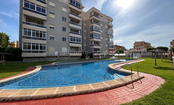 Bungalow - Resale - Torrevieja - Torrevieja Centro