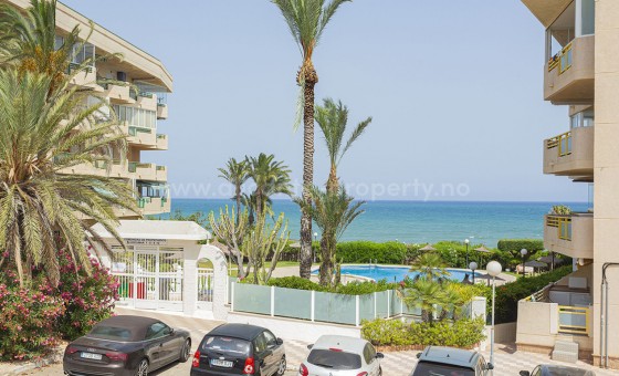 Bungalow - Reventa - Campoamor -
                Campoamor