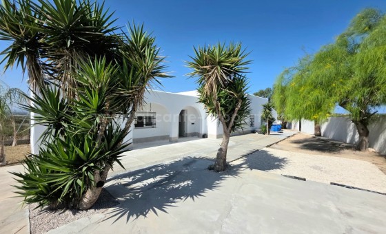 Bungalow - Reventa - San Fulgencio - San Fulgencio Centro