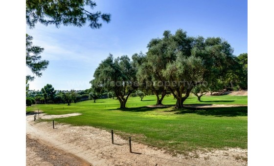 Bungalow - Reventa - Villamartín - Villamartín