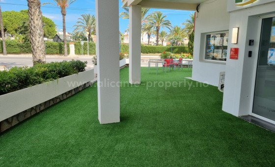 Byggetomt - Brukt bolig - Cabo Roig -
                Cabo Roig