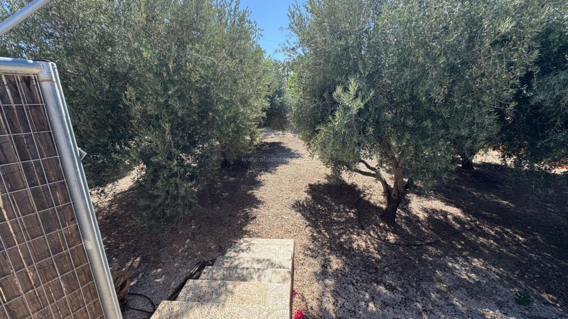 Casa de campo en Albatera Centro