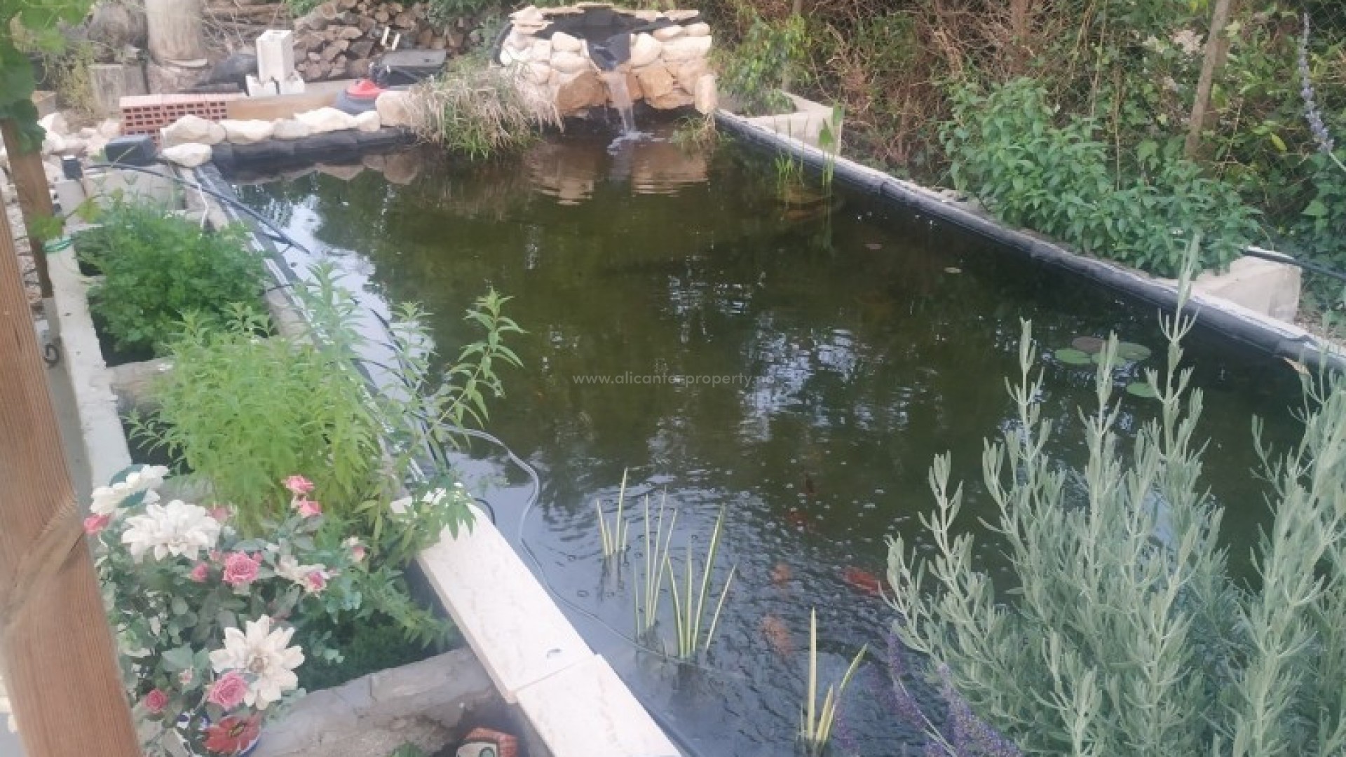 Casa de campo en Crevillente - Crevillent Centro