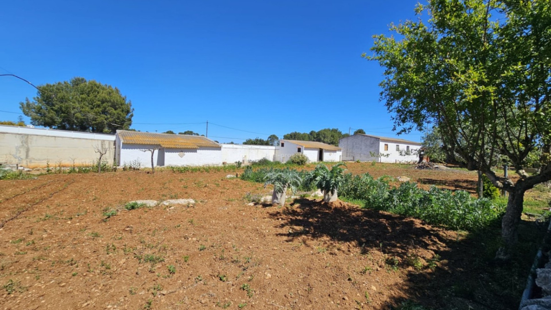 Casa de campo en Denia Centro