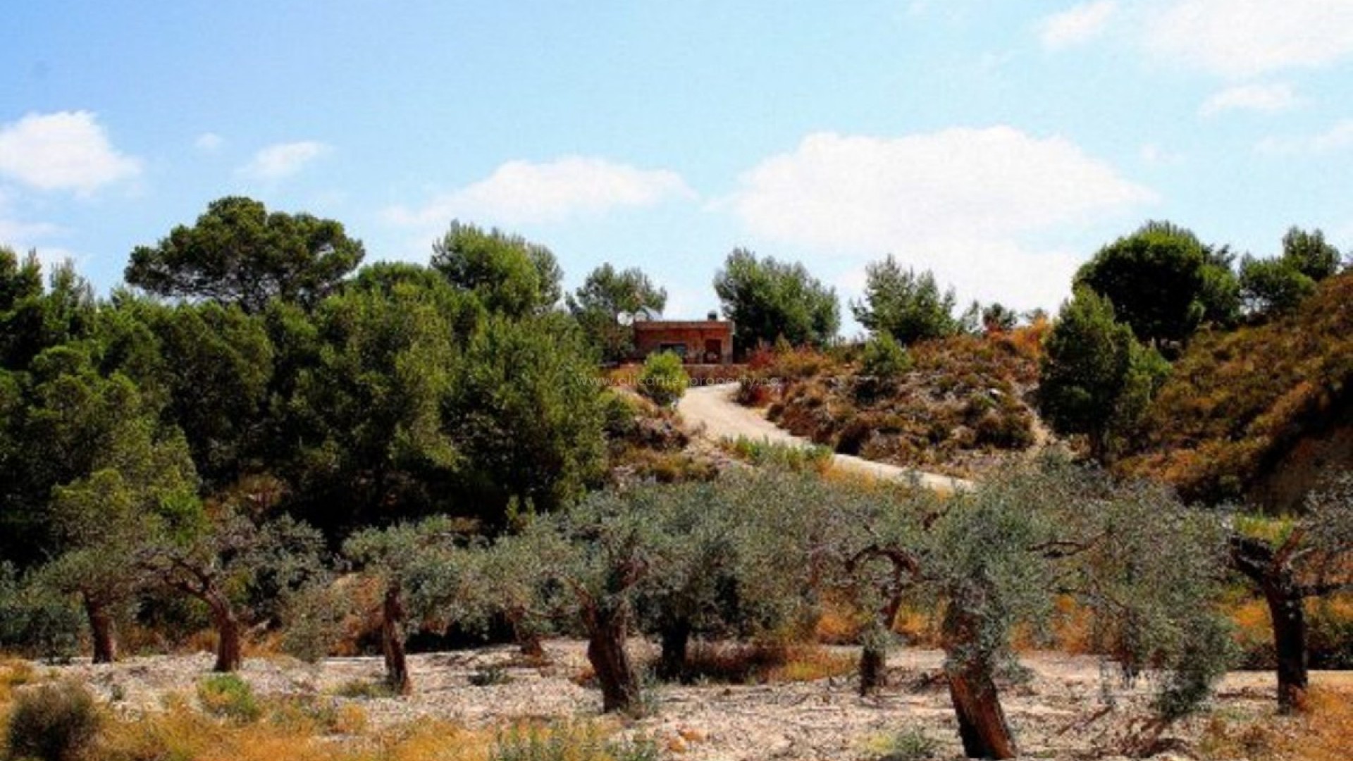 Casa de campo en Gea y Truyols