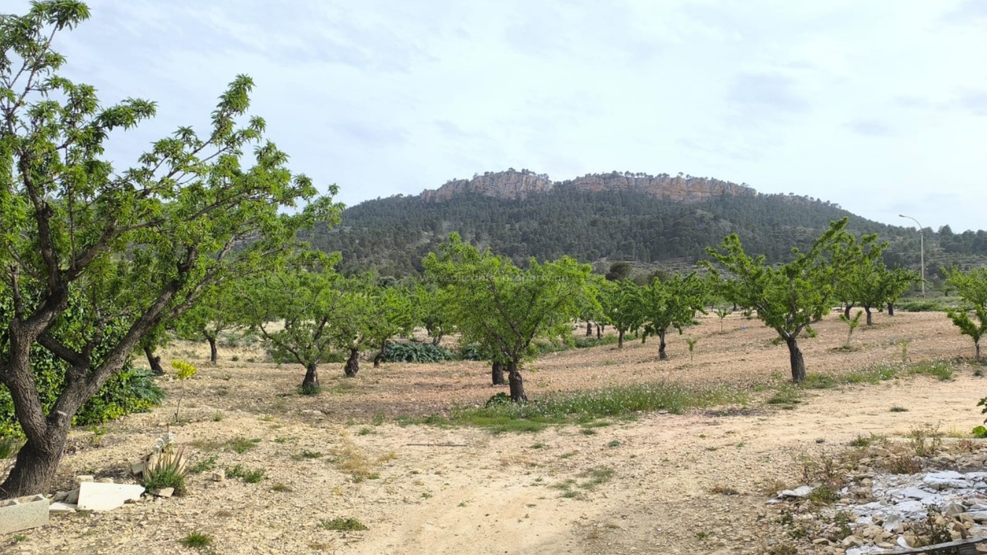 Casa de campo en Jumilla Centro