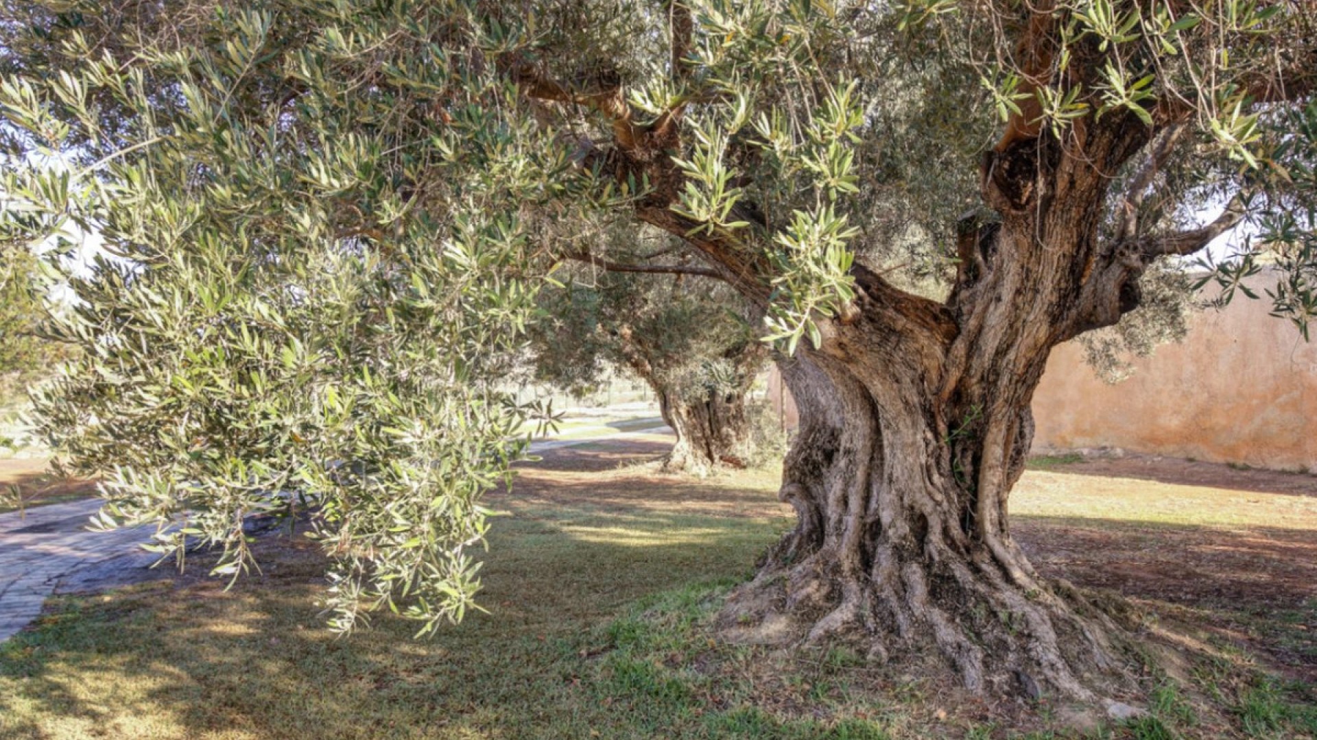 Casa de campo en Moraira