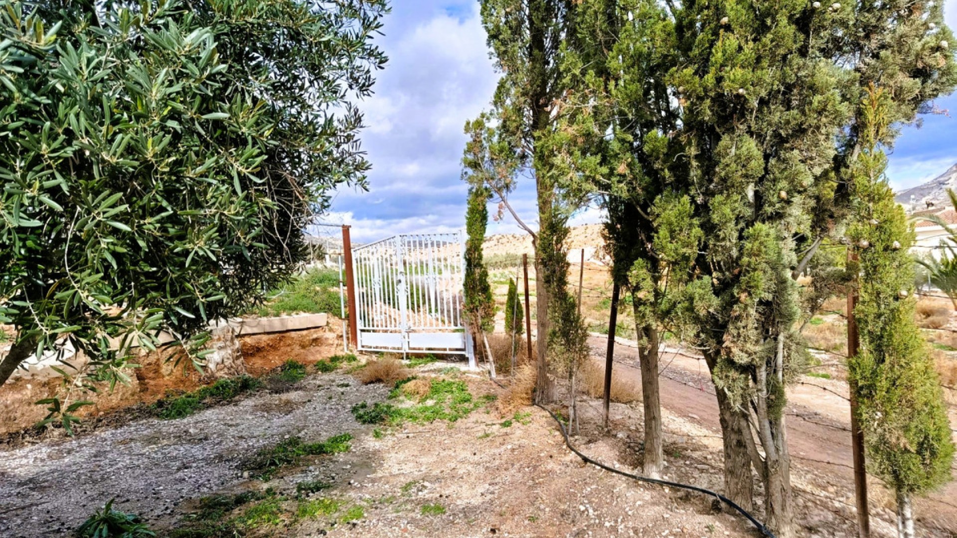 Casa de campo en Novelda Centro