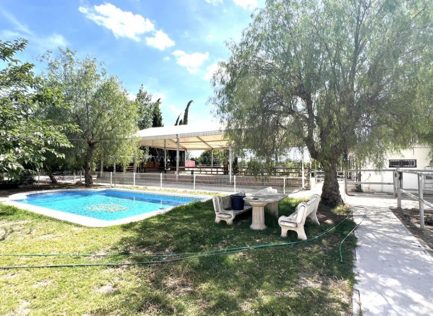 Casa de campo en Orihuela Centro