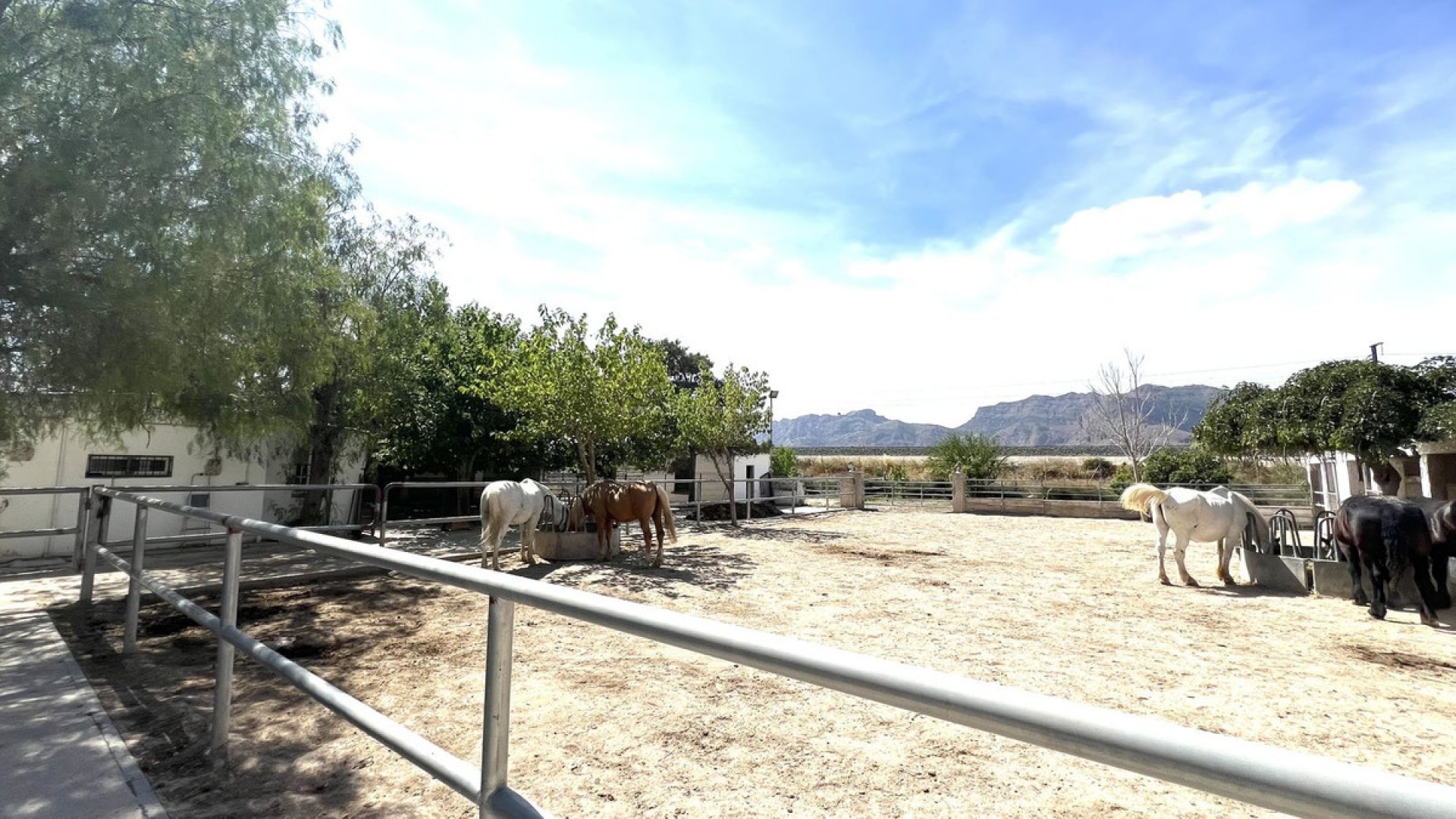 Casa de campo en Orihuela Centro