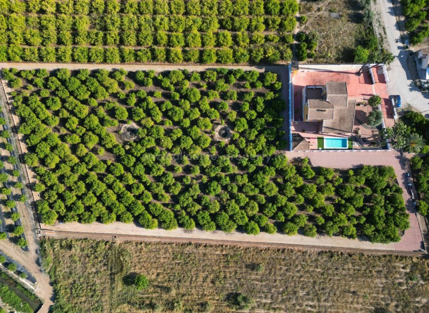 Casa de campo en Orihuela Centro