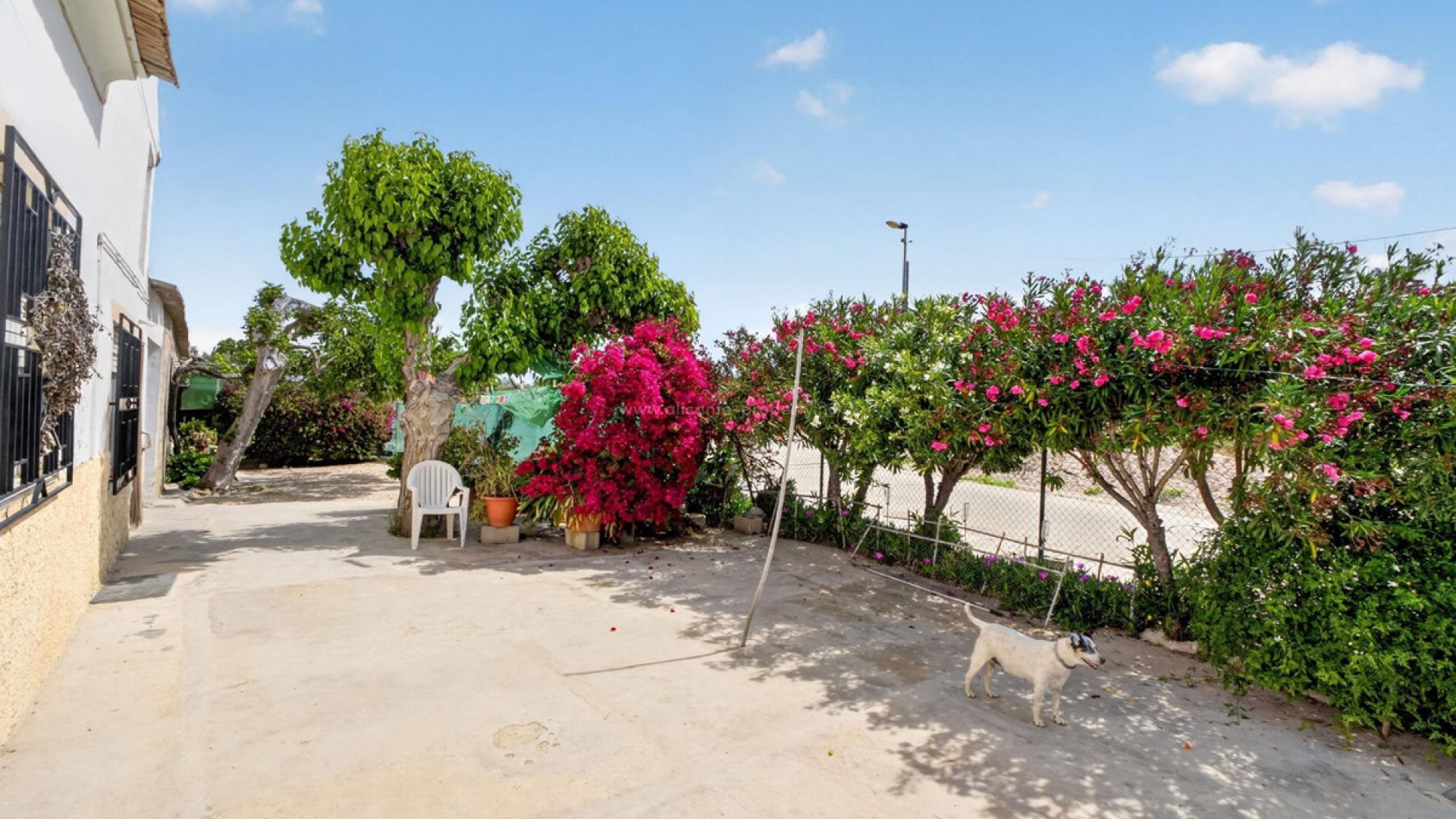 Casa de campo en Orihuela Centro