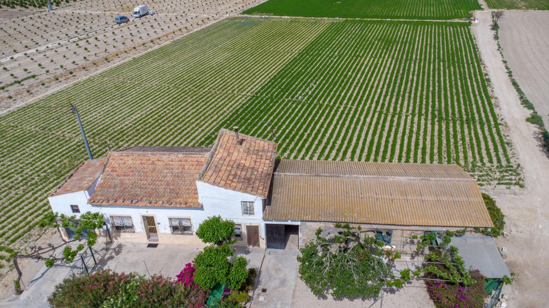 Casa de campo en Orihuela Centro