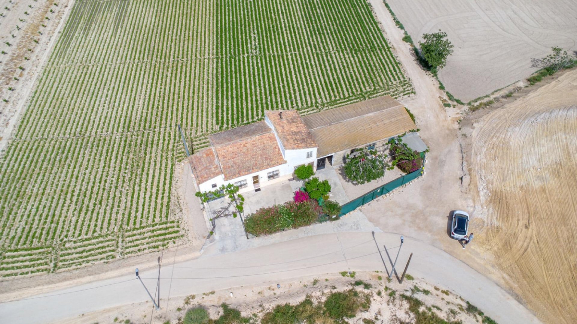 Casa de campo en Orihuela Centro