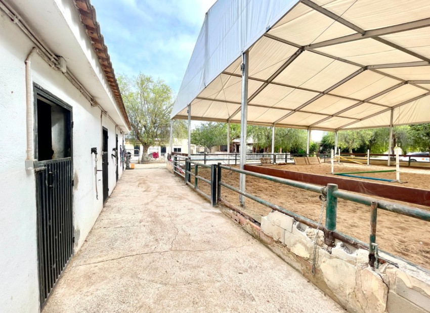 Casa de campo en Orihuela Centro