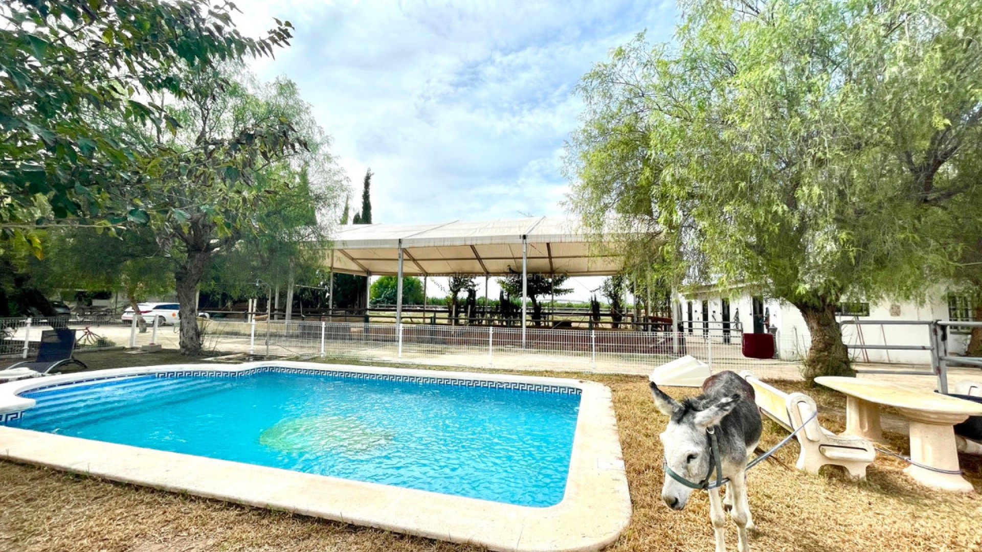 Casa de campo en Orihuela Centro