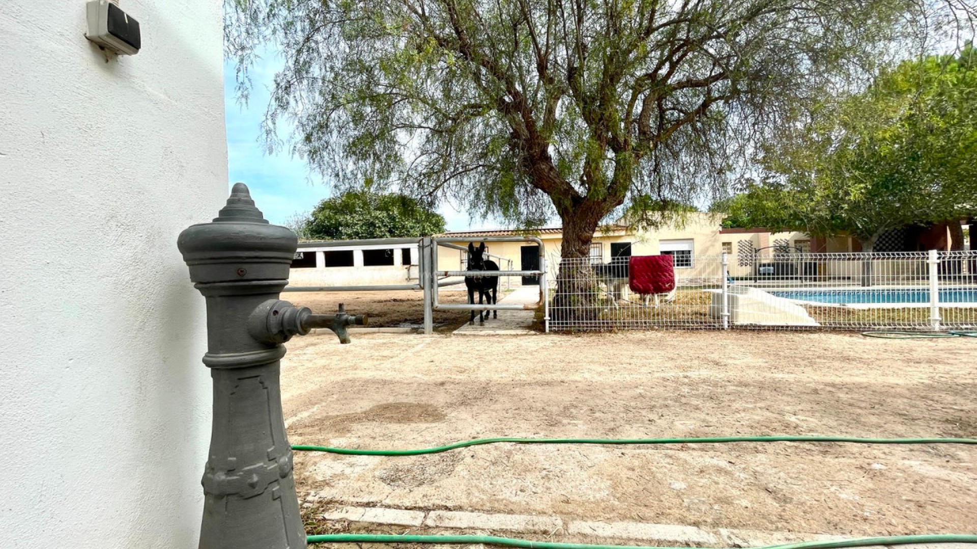 Casa de campo en Orihuela Centro