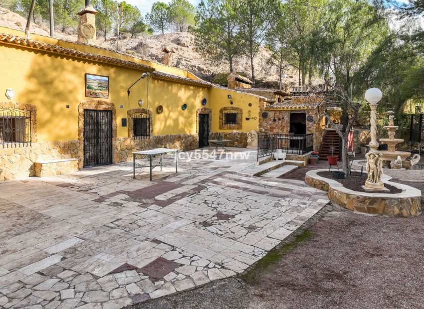 Casa de campo en Pinoso Centro