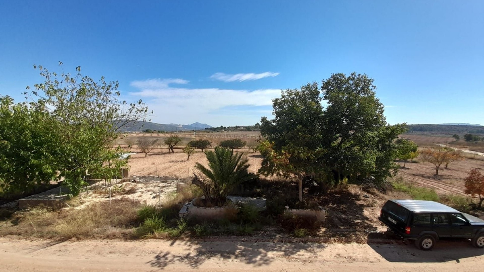 Casa de campo en Pinoso Centro