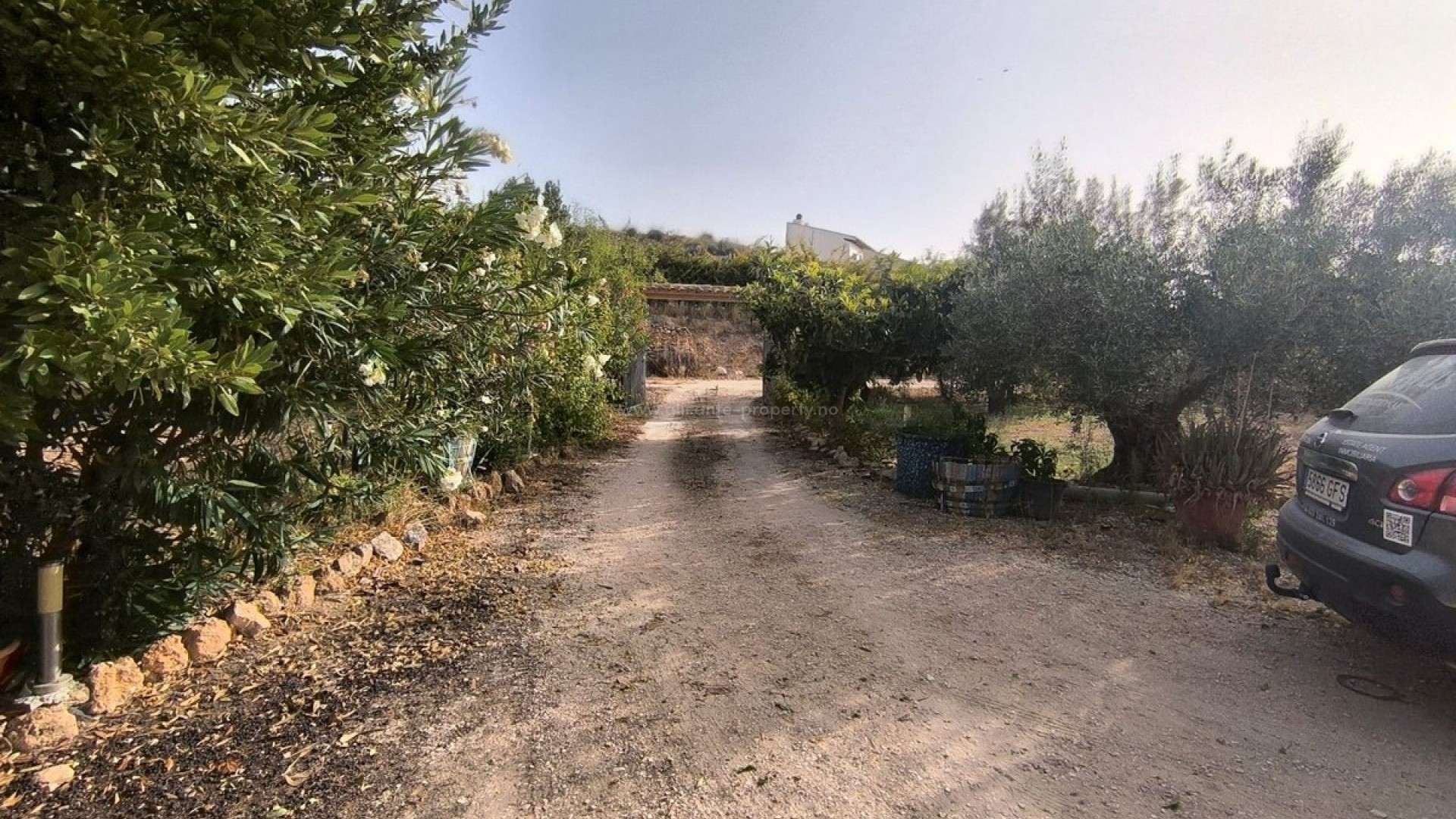 Casa de campo en Pinoso Centro