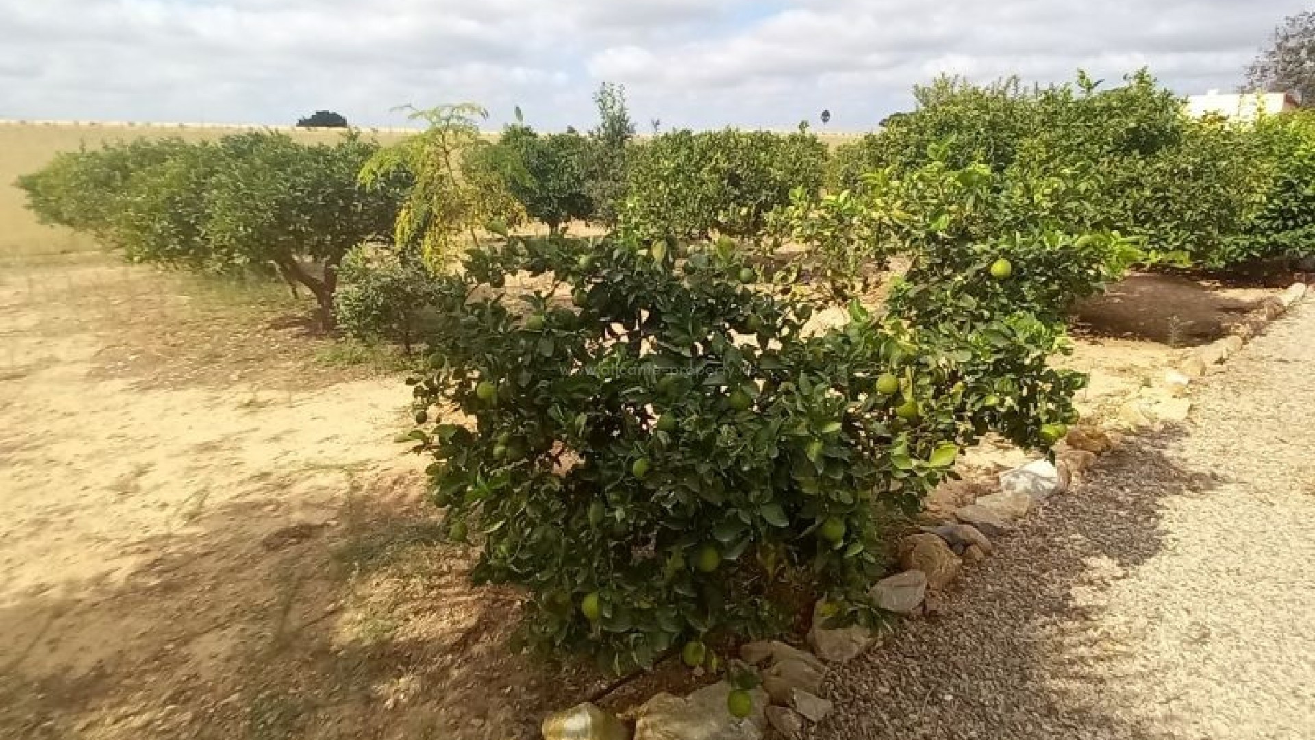 Casa de campo en San Javier Centro