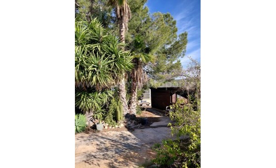 Casa de campo - Reventa - La Murada - La Murada