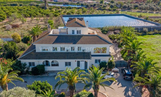 Casa de campo - Reventa - Los Montesinos - Los Montesinos