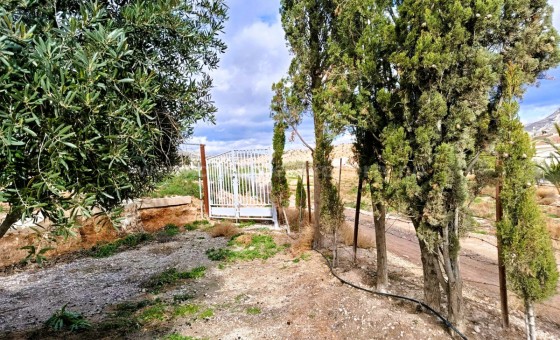 Casa de campo - Reventa - Novelda - Novelda Centro