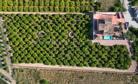 Casa de campo - Reventa - Orihuela - Orihuela Centro