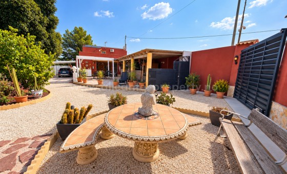 Casa de campo - Reventa - Orihuela - Orihuela Centro
