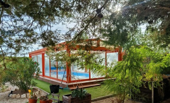 Casa de campo - Reventa - PINOSO - Pinoso Centro