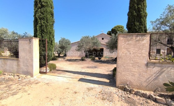 Casa de campo - Reventa - Villena - Villena Centro