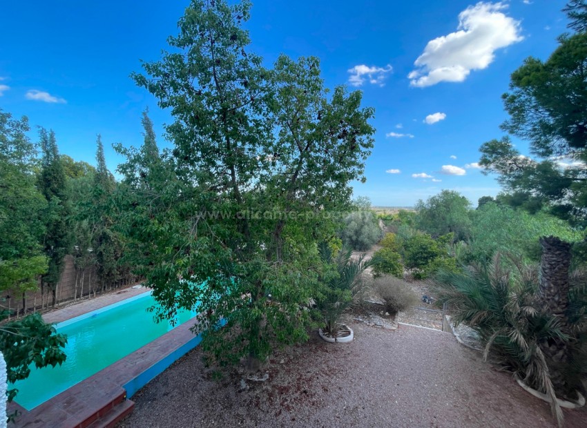 Country House in Albatera Centro