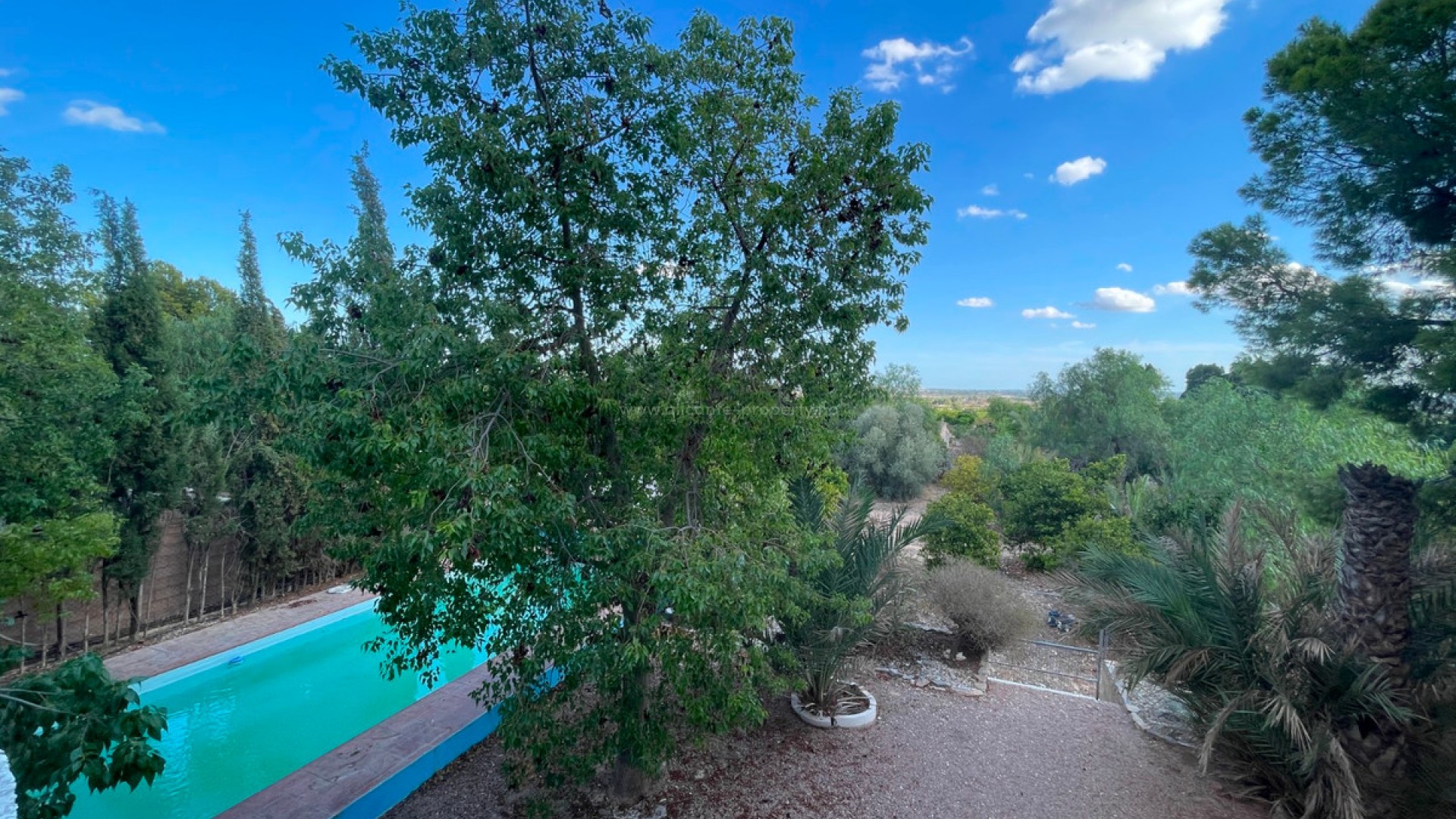 Country House in Albatera Centro