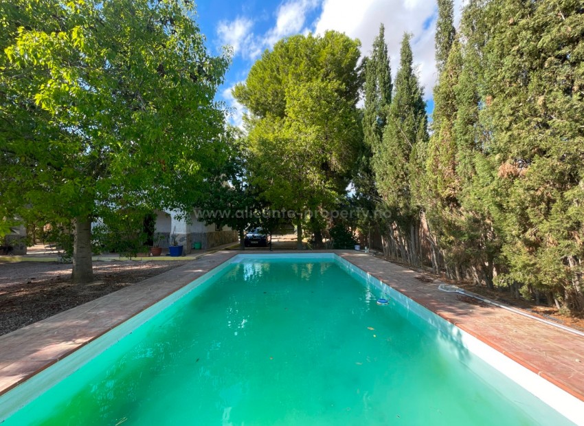 Country House in Albatera Centro