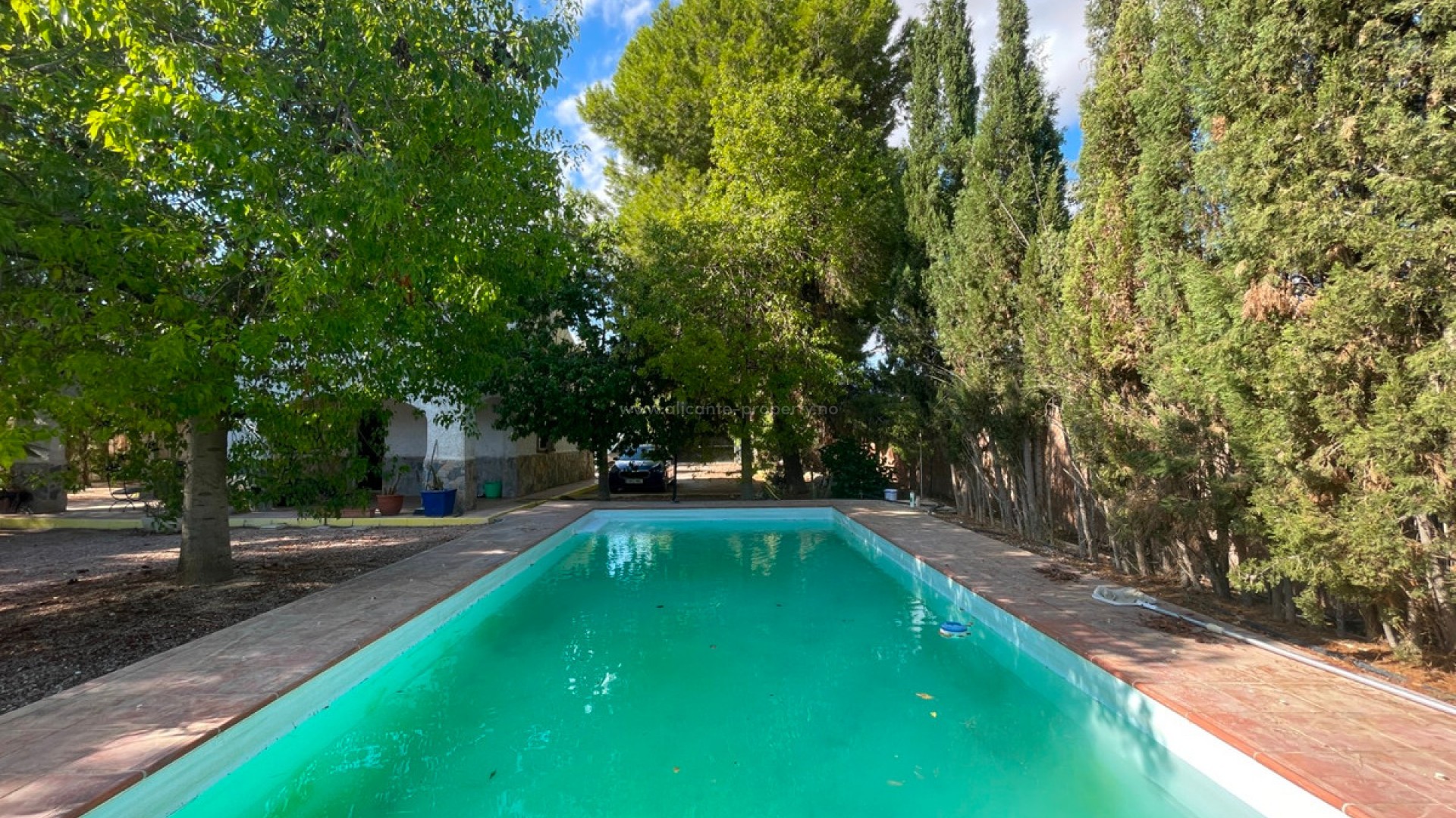 Country House in Albatera Centro